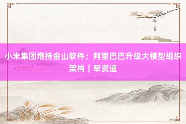 小米集团增持金山软件；阿里巴巴升级大模型组织架构｜早资道