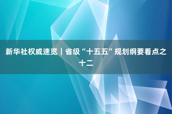 新华社权威速览｜省级“十五五”规划纲要看点之十二