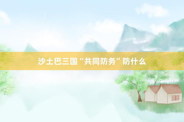 沙土巴三国“共同防务”防什么