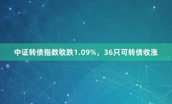 中证转债指数收跌1.09%，36只可转债收涨
