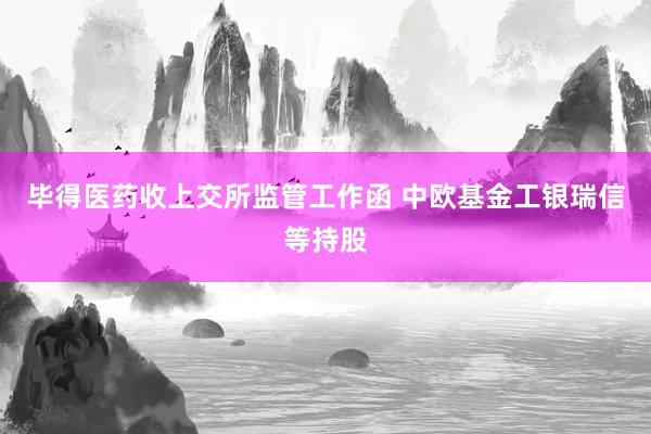 毕得医药收上交所监管工作函 中欧基金工银瑞信等持股