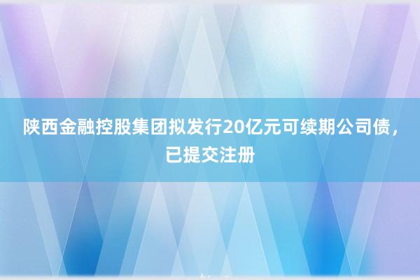 陕西金融控股集团拟发行20亿元可续期公司债，已提交注册
