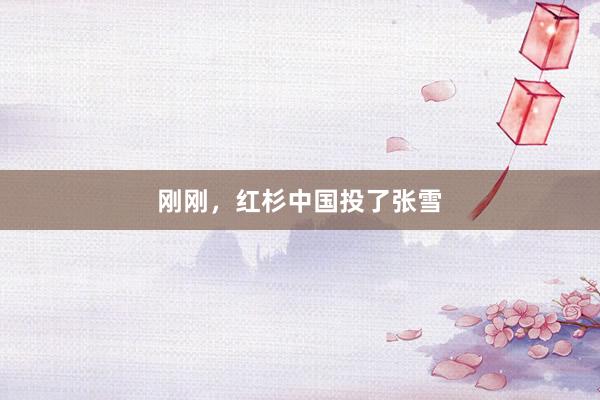 刚刚，红杉中国投了张雪