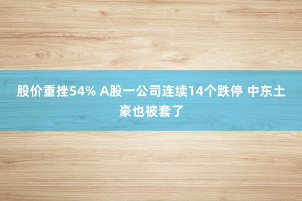 股价重挫54% A股一公司连续14个跌停 中东土豪也被套了