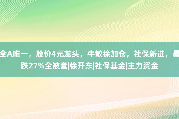 全A唯一，股价4元龙头，牛散徐加仓，社保新进，暴跌27%全被套|徐开东|社保基金|主力资金