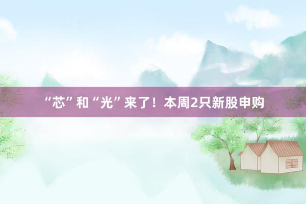 “芯”和“光”来了！本周2只新股申购
