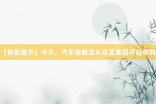 【新股提示】今天，汽车座舱龙头双英集团开启申购