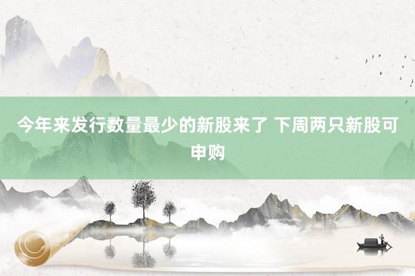今年来发行数量最少的新股来了 下周两只新股可申购