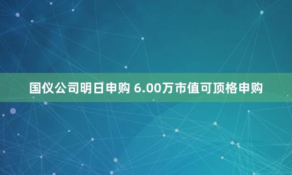 国仪公司明日申购 6.00万市值可顶格申购