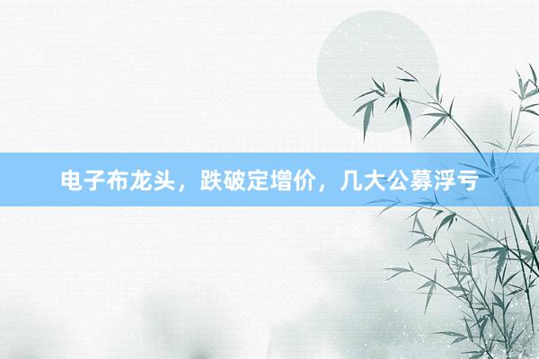 电子布龙头，跌破定增价，几大公募浮亏