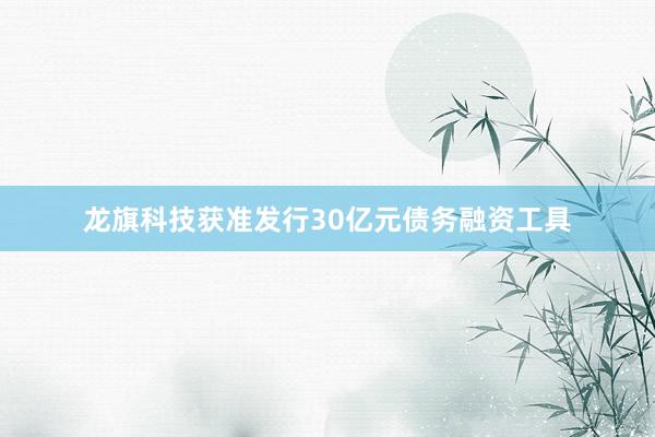 龙旗科技获准发行30亿元债务融资工具