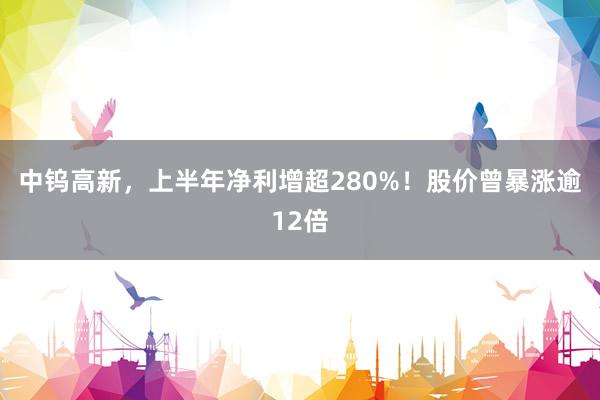 中钨高新，上半年净利增超280%！股价曾暴涨逾12倍