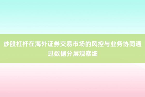 炒股杠杆在海外证券交易市场的风控与业务协同通过数据分层观察细