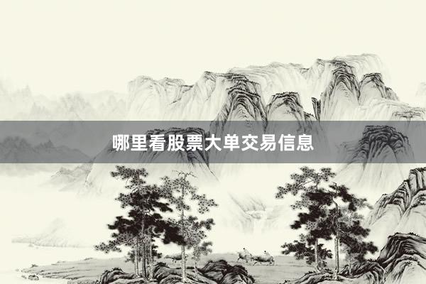 哪里看股票大单交易信息
