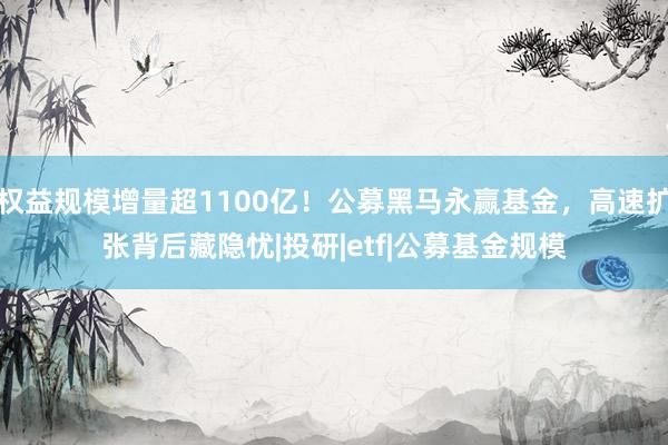 权益规模增量超1100亿！公募黑马永赢基金，高速扩张背后藏隐忧|投研|etf|公募基金规模