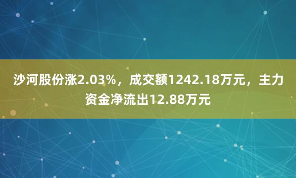沙河股份涨2.03%，成交额1242.18万元，主力资金净流出12.88万元