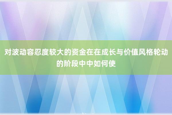 对波动容忍度较大的资金在在成长与价值风格轮动的阶段中中如何使