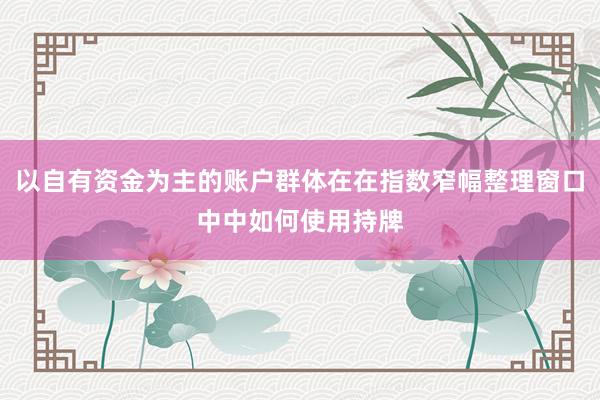 以自有资金为主的账户群体在在指数窄幅整理窗口中中如何使用持牌