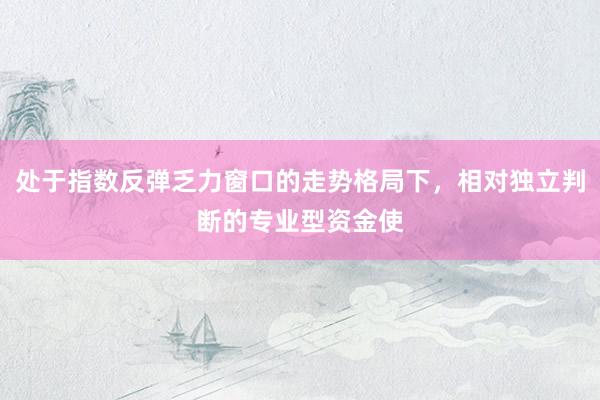 处于指数反弹乏力窗口的走势格局下，相对独立判断的专业型资金使