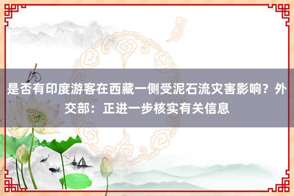 是否有印度游客在西藏一侧受泥石流灾害影响？外交部：正进一步核实有关信息