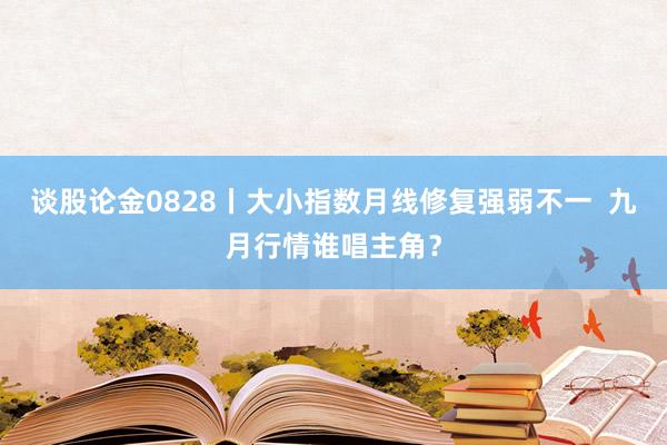 谈股论金0828丨大小指数月线修复强弱不一  九月行情谁唱主角？