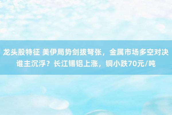 龙头股特征 美伊局势剑拔弩张，金属市场多空对决谁主沉浮？长江锡铝上涨，铜小跌70元/吨