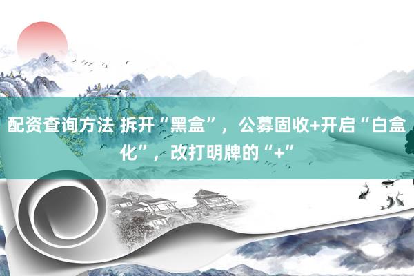 配资查询方法 拆开“黑盒”，公募固收+开启“白盒化”，改打明牌的“+”
