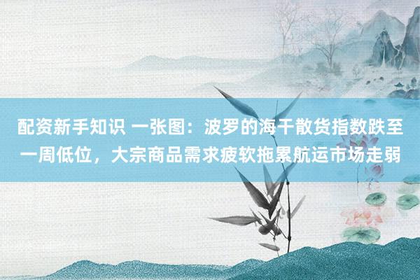 配资新手知识 一张图：波罗的海干散货指数跌至一周低位，大宗商品需求疲软拖累航运市场走弱
