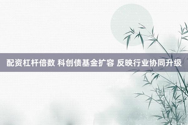 配资杠杆倍数 科创债基金扩容 反映行业协同升级