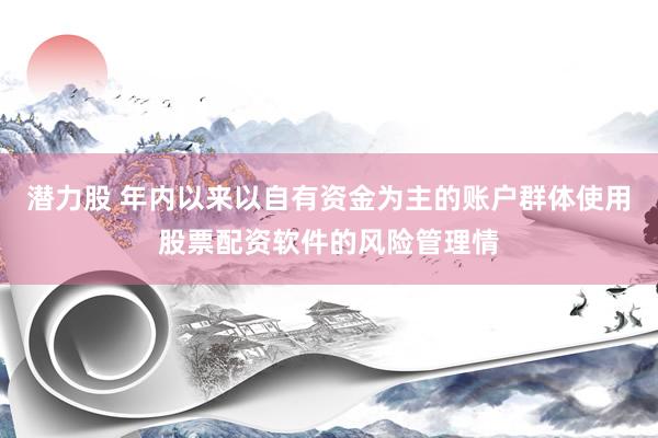 潜力股 年内以来以自有资金为主的账户群体使用股票配资软件的风险管理情