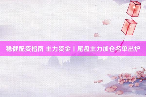 稳健配资指南 主力资金丨尾盘主力加仓名单出炉