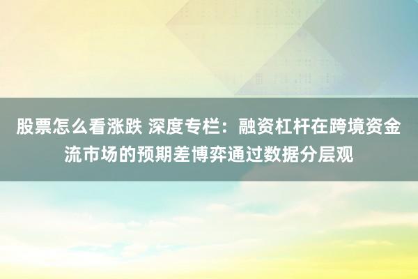 股票怎么看涨跌 深度专栏：融资杠杆在跨境资金流市场的预期差博弈通过数据分层观