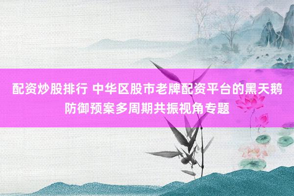 配资炒股排行 中华区股市老牌配资平台的黑天鹅防御预案多周期共振视角专题
