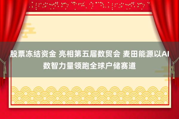 股票冻结资金 亮相第五届数贸会 麦田能源以AI数智力量领跑全球户储赛道