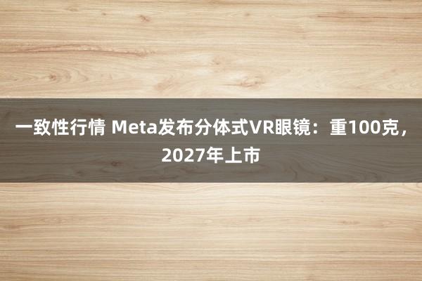 一致性行情 Meta发布分体式VR眼镜：重100克，2027年上市