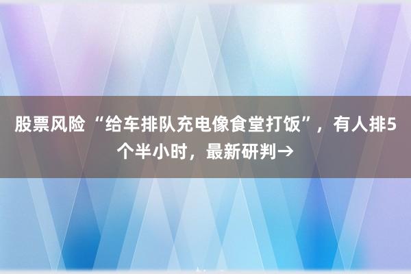 股票风险 “给车排队充电像食堂打饭”，有人排5个半小时，最新研判→