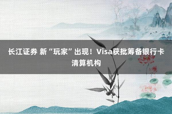 长江证券 新“玩家”出现！Visa获批筹备银行卡清算机构