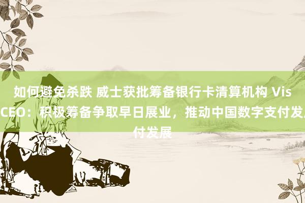 如何避免杀跌 威士获批筹备银行卡清算机构 Visa CEO:积极筹备争取早日展业,推动中国数字支付发展