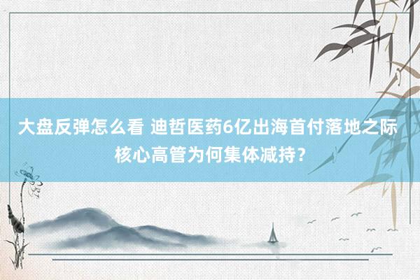 大盘反弹怎么看 迪哲医药6亿出海首付落地之际 核心高管为何集体减持？