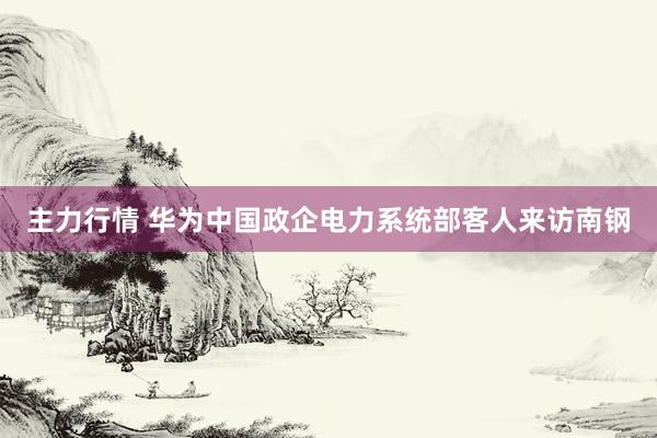 主力行情 华为中国政企电力系统部客人来访南钢