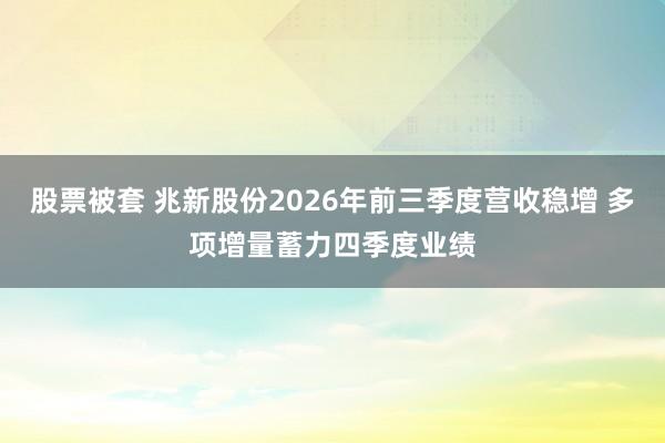 股票被套 兆新股份2026年前三季度营收稳增 多项增量蓄力四季度业绩